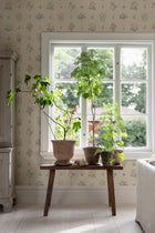 6951 Ängsflora Beige and Multi Wallpaper by Boråstapeter