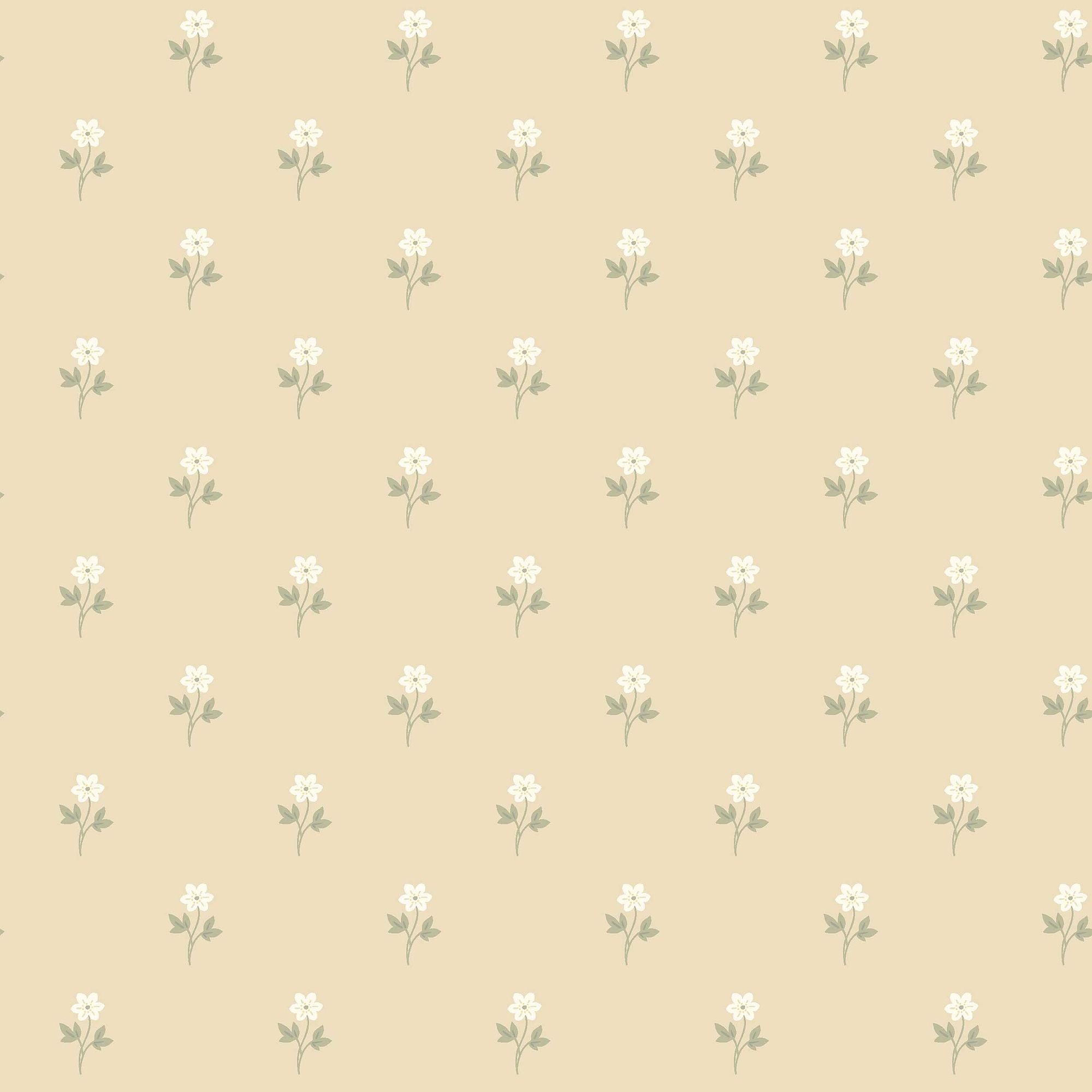6972 Anemone Yellow and White Wallpaper by Boråstapeter