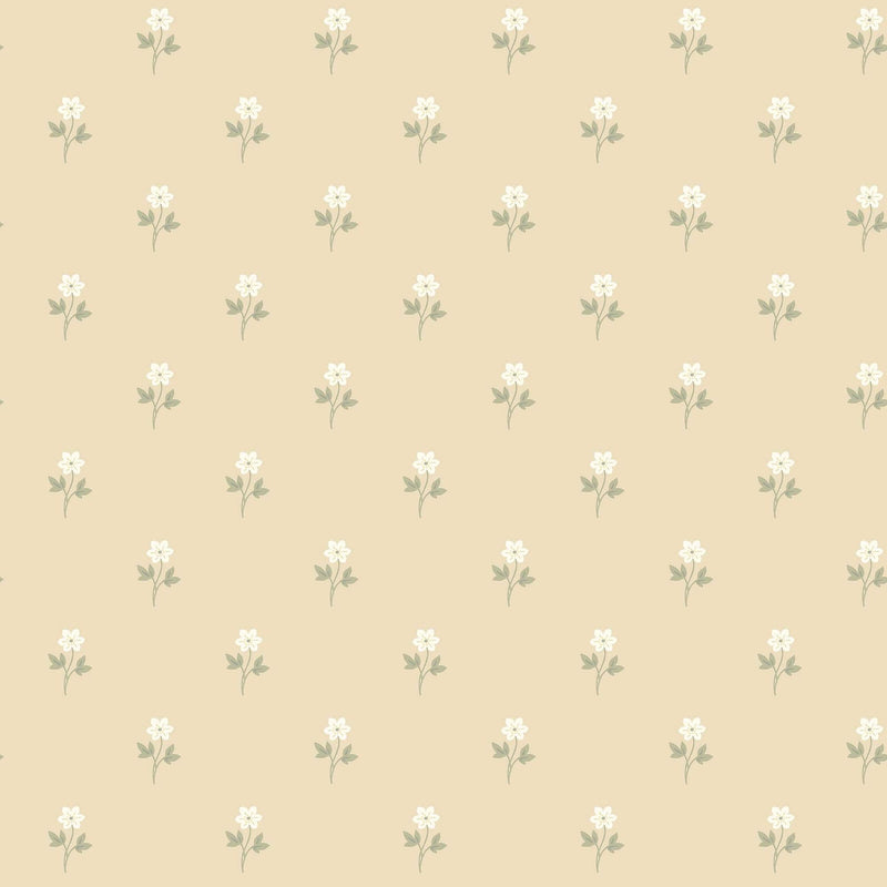 6972 Anemone Yellow and White Wallpaper by Boråstapeter