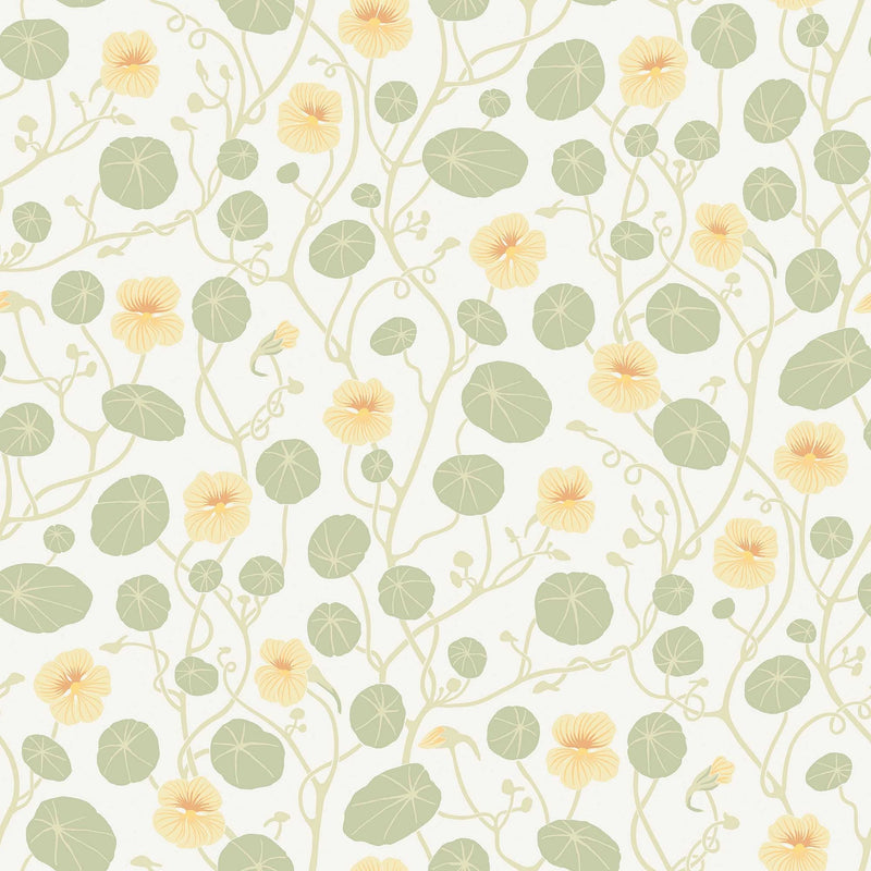6975 Krasse Yellow and White Wallpaper by Boråstapeter