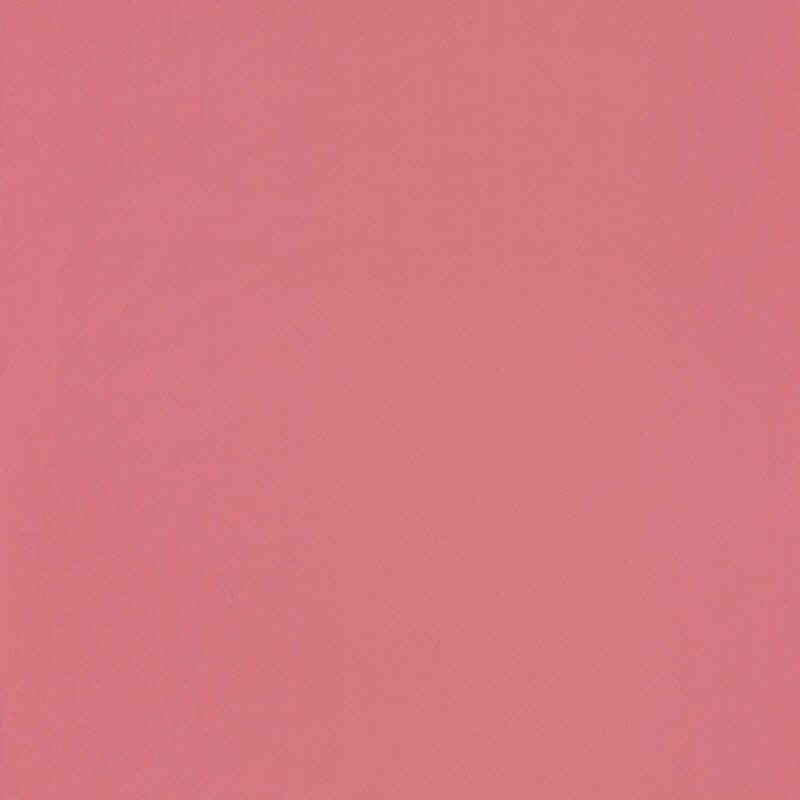 GPR69864600 Uni Girl Power Wallpaper By Caselio