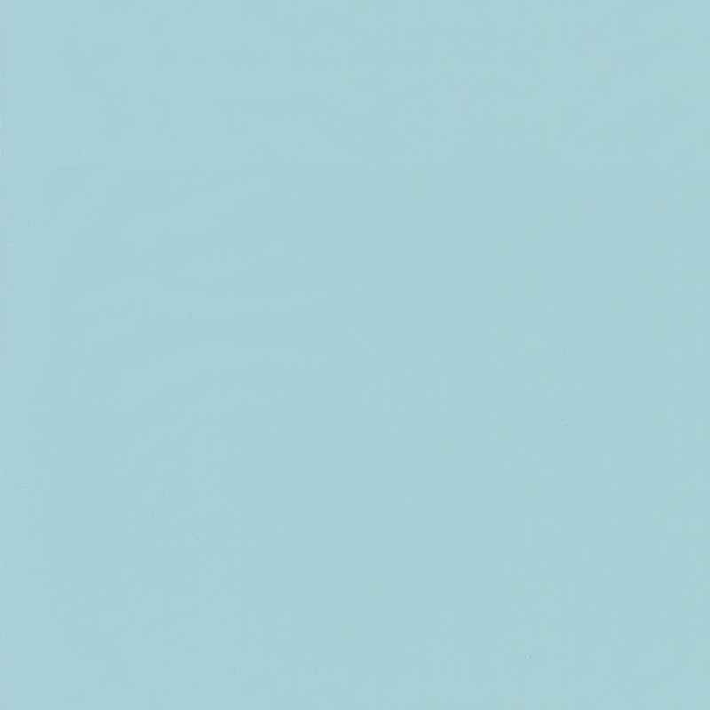 GPR69866606 Uni Girl Power Wallpaper By Caselio