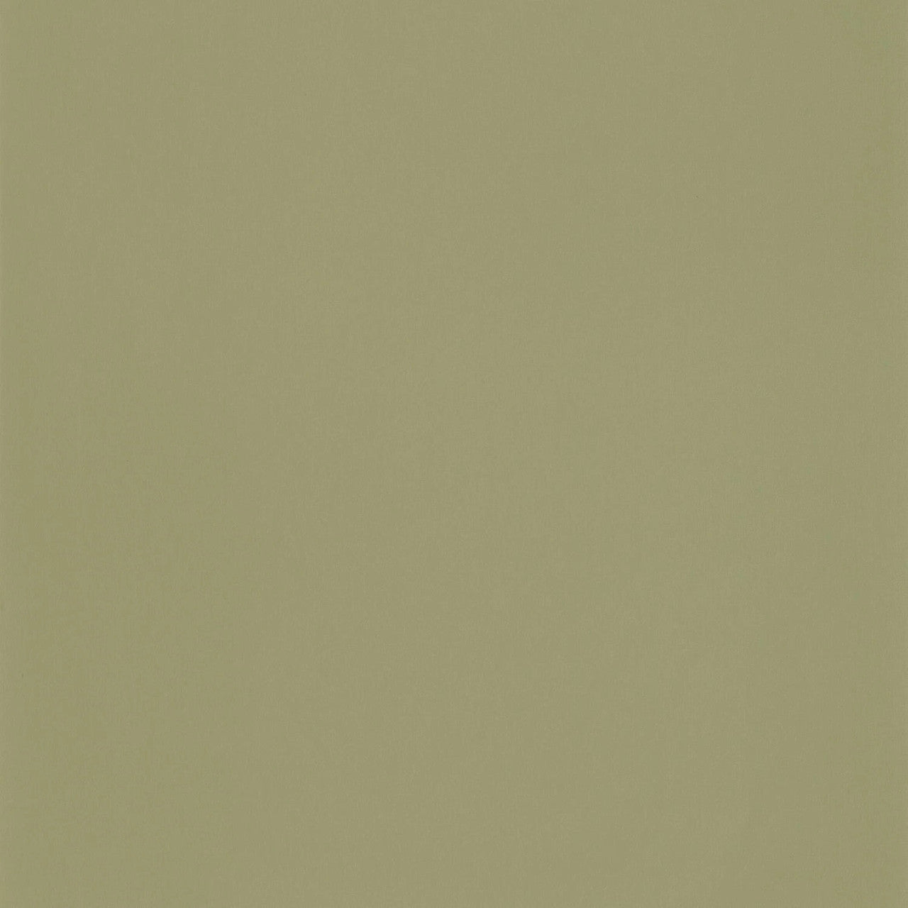 ADM69867417 Smile Uni Autour Du Monde Kaki Wallpaper By Caselio