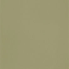 ADM69867417 Smile Uni Autour Du Monde Kaki Wallpaper By Caselio