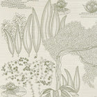 71360338 Hasu Hikari Wallpaper by Casamance