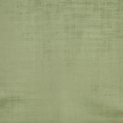 Imagination Pea - Eco Fabric by Prestigious Textiles