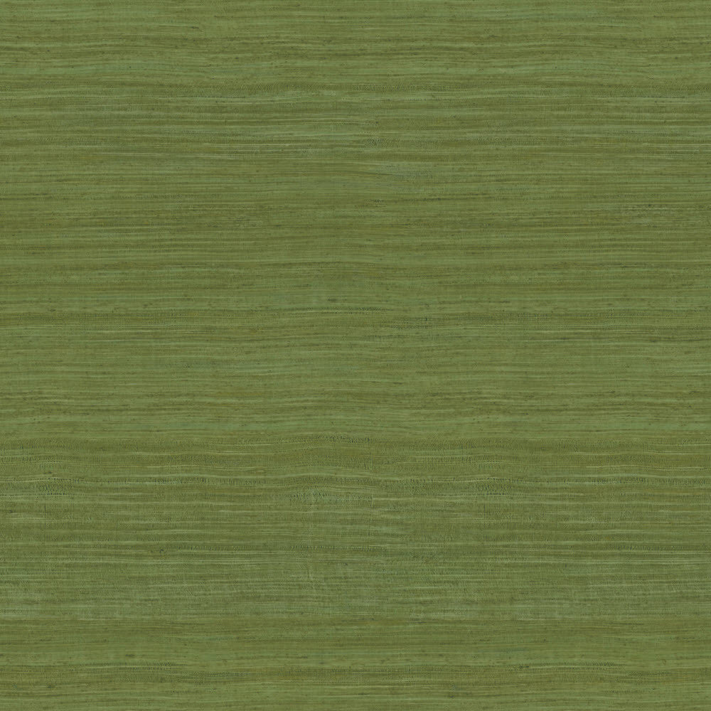 72020 Tasar Expedition Wallpaper by Arte