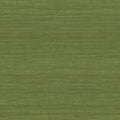 Tasar Expedition Wallpaper by Arte