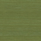 72020 Tasar Expedition Wallpaper by Arte