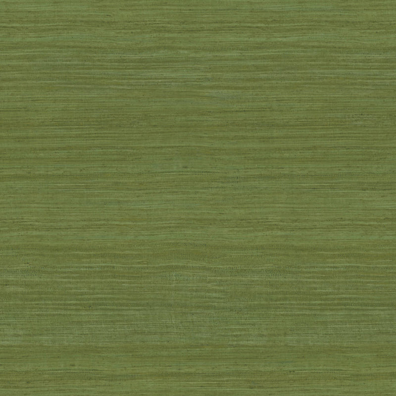 72020 Tasar Expedition Wallpaper by Arte