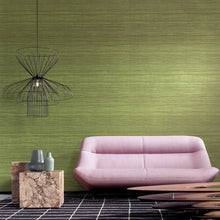 72020 Tasar Expedition Wallpaper by Arte