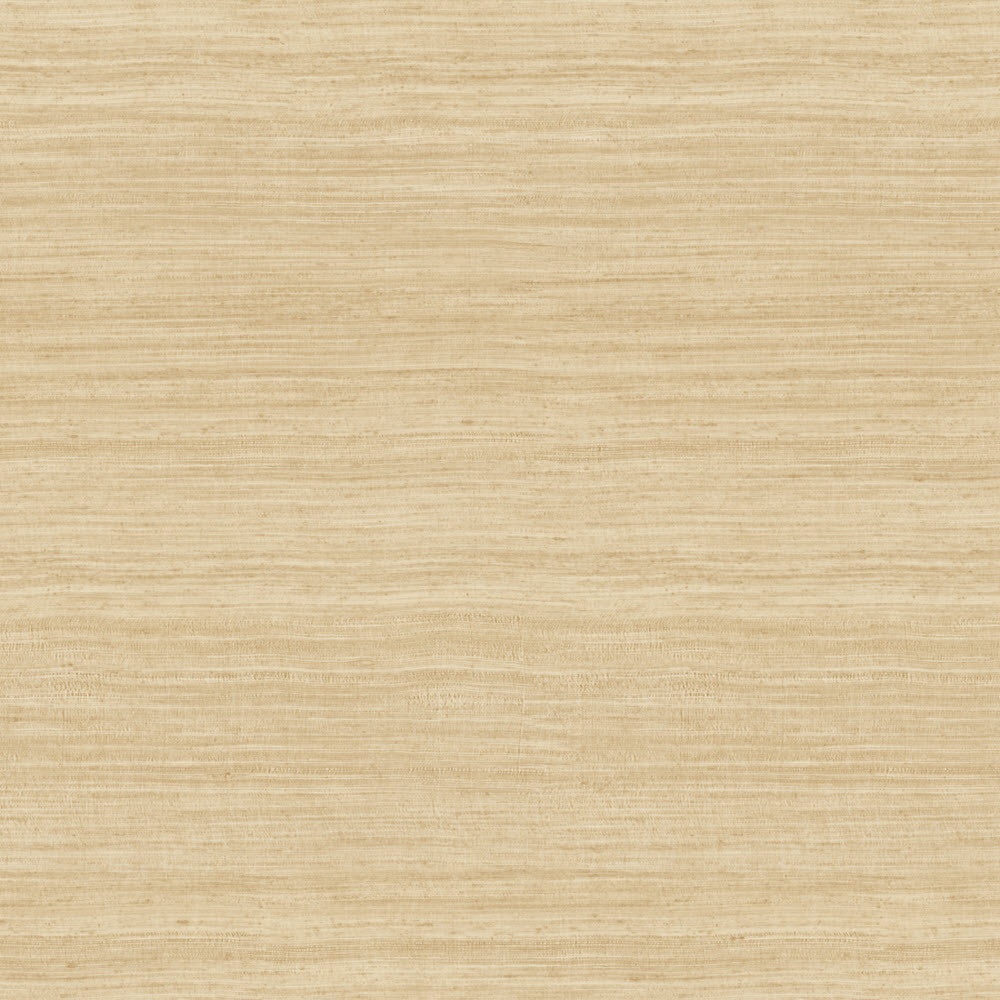 72024 Tasar Expedition Wallpaper by Arte