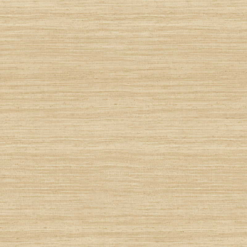 72024 Tasar Expedition Wallpaper by Arte