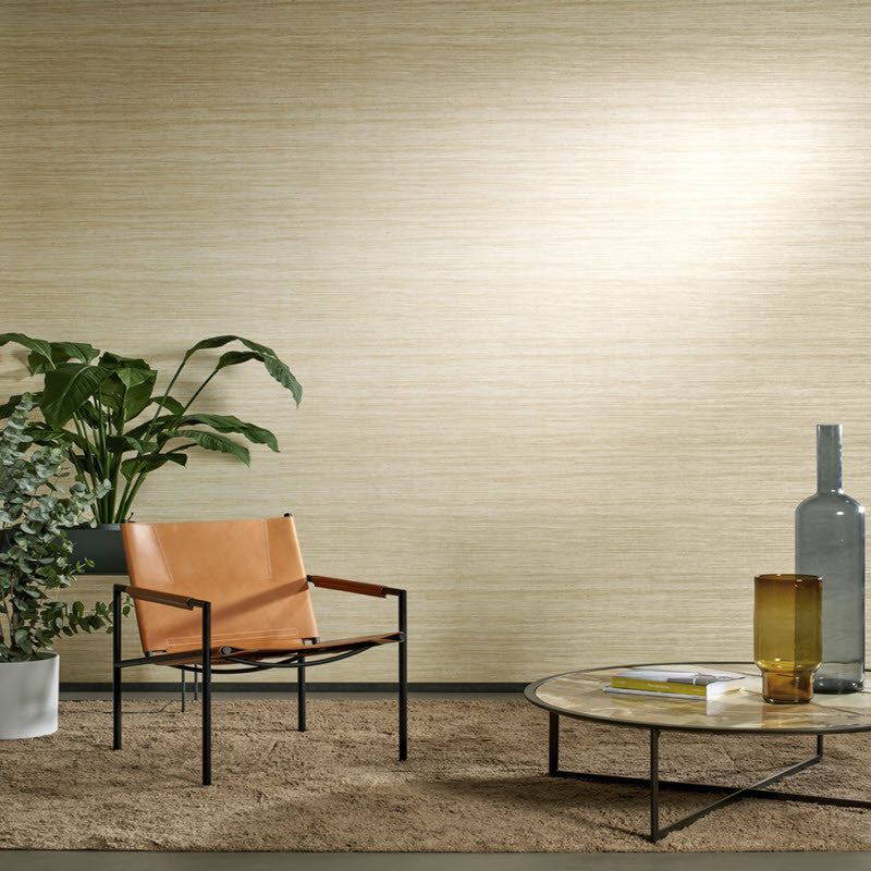 72025 Tasar Expedition Wallpaper by Arte