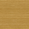 Tasar Expedition Wallpaper by Arte