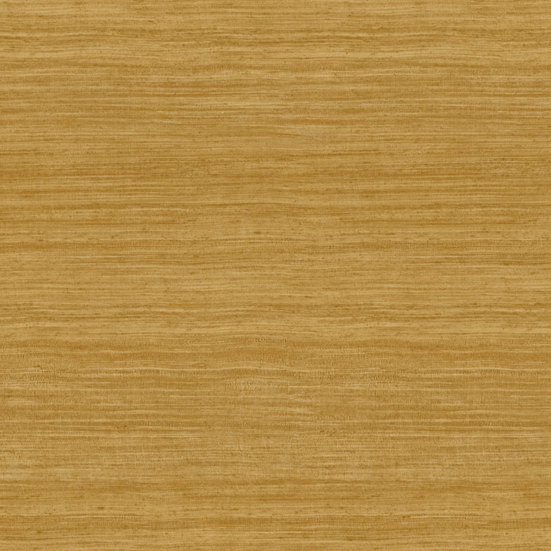 72026 Tasar Expedition Wallpaper by Arte