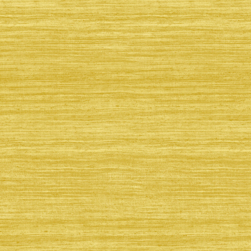 72029 Tasar Expedition Wallpaper by Arte