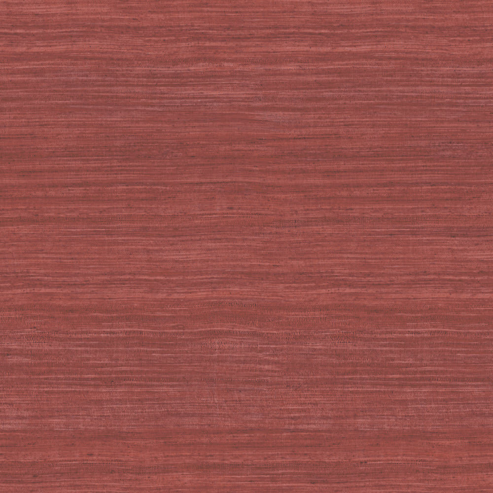 72030 Tasar Expedition Wallpaper by Arte