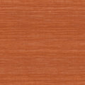 Tasar Expedition Wallpaper by Arte
