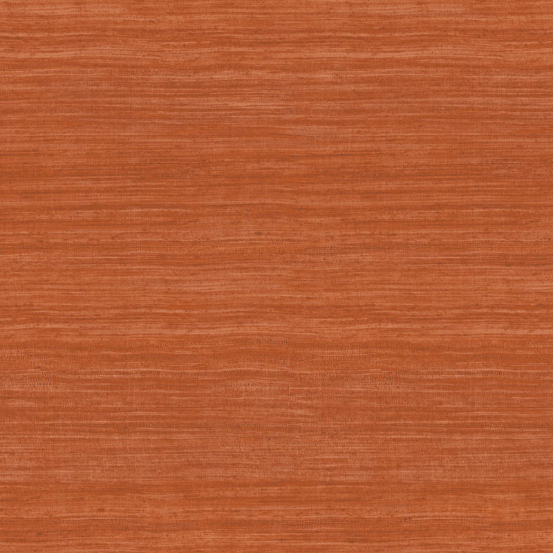 72036 Tasar Expedition Wallpaper by Arte