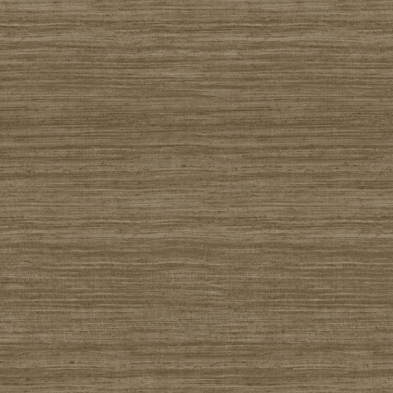 72037 Tasar Expedition Wallpaper by Arte