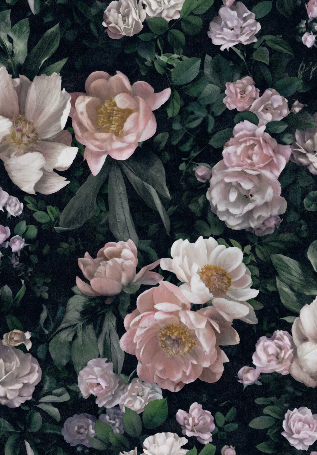 7234 New Dawn Rose Flowers Wallpaper by Boråstapeter - Flat