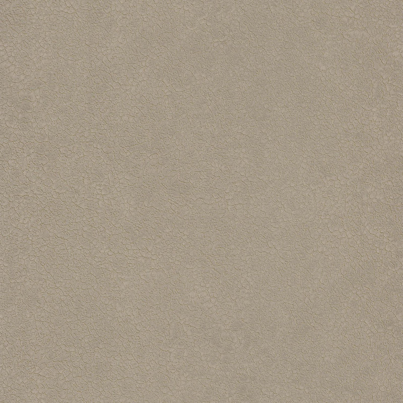 72350335 Obsessive Blossom Wallpaper By Casamance