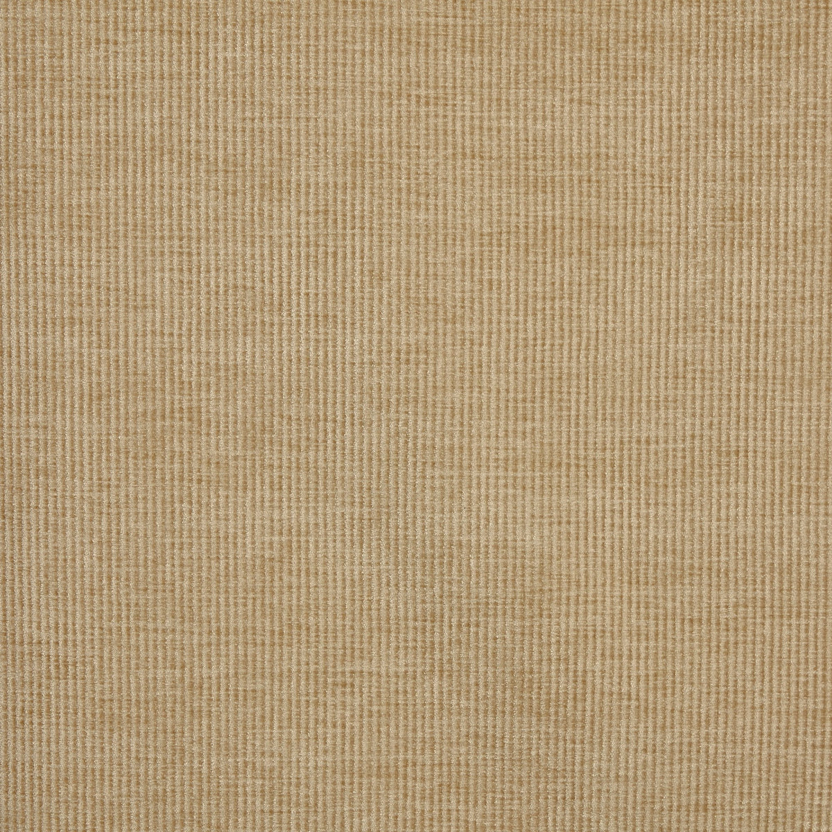 7248/670 Cord Pampas Fabric by Prestigious Textiles