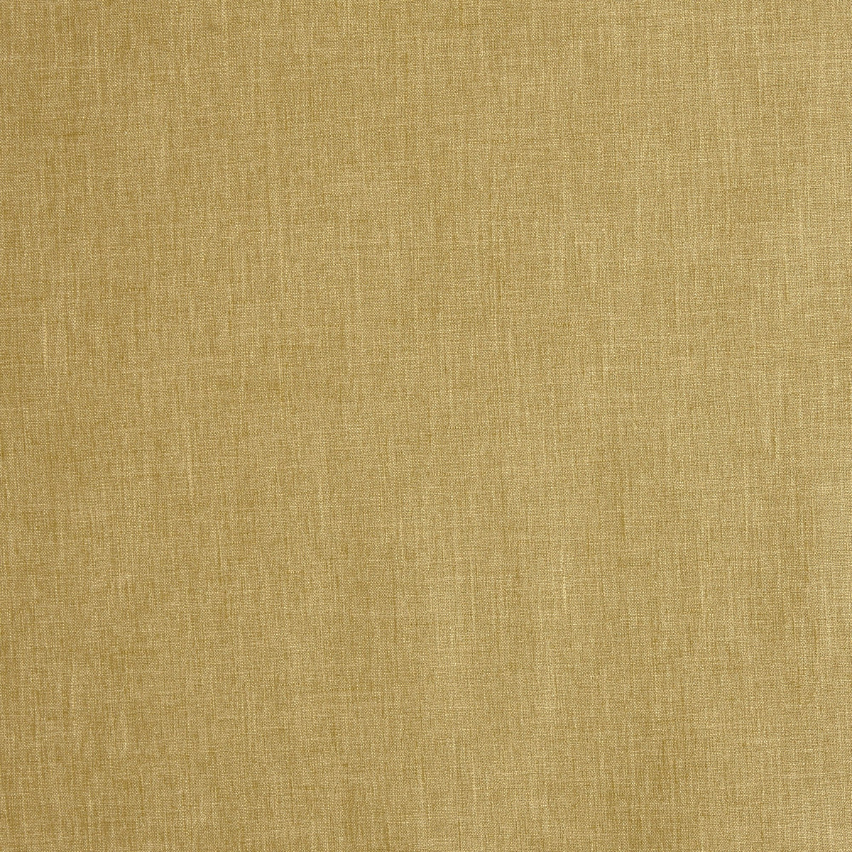 7249/120 Orla Harvest Fabric by Prestigious Textiles