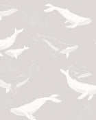 7452 Whales Grey and White Wallpaper by Boråstapeter