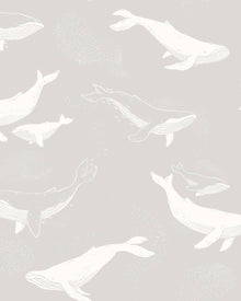 7452 Whales Grey and White Wallpaper by Boråstapeter