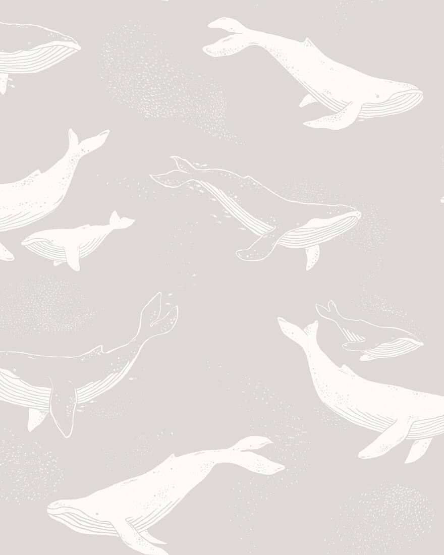 7452 Whales Grey and White Wallpaper by Boråstapeter