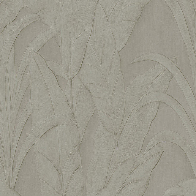 75000 Musa Monsoon Wallpaper by Arte