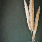 75134698 Roseau Ete Indien Wallpaper by Casamance