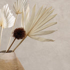 Argile La Chaux Wallpaper by Casamance
