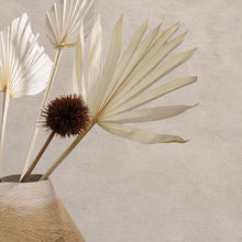 Argile La Chaux Wallpaper by Casamance