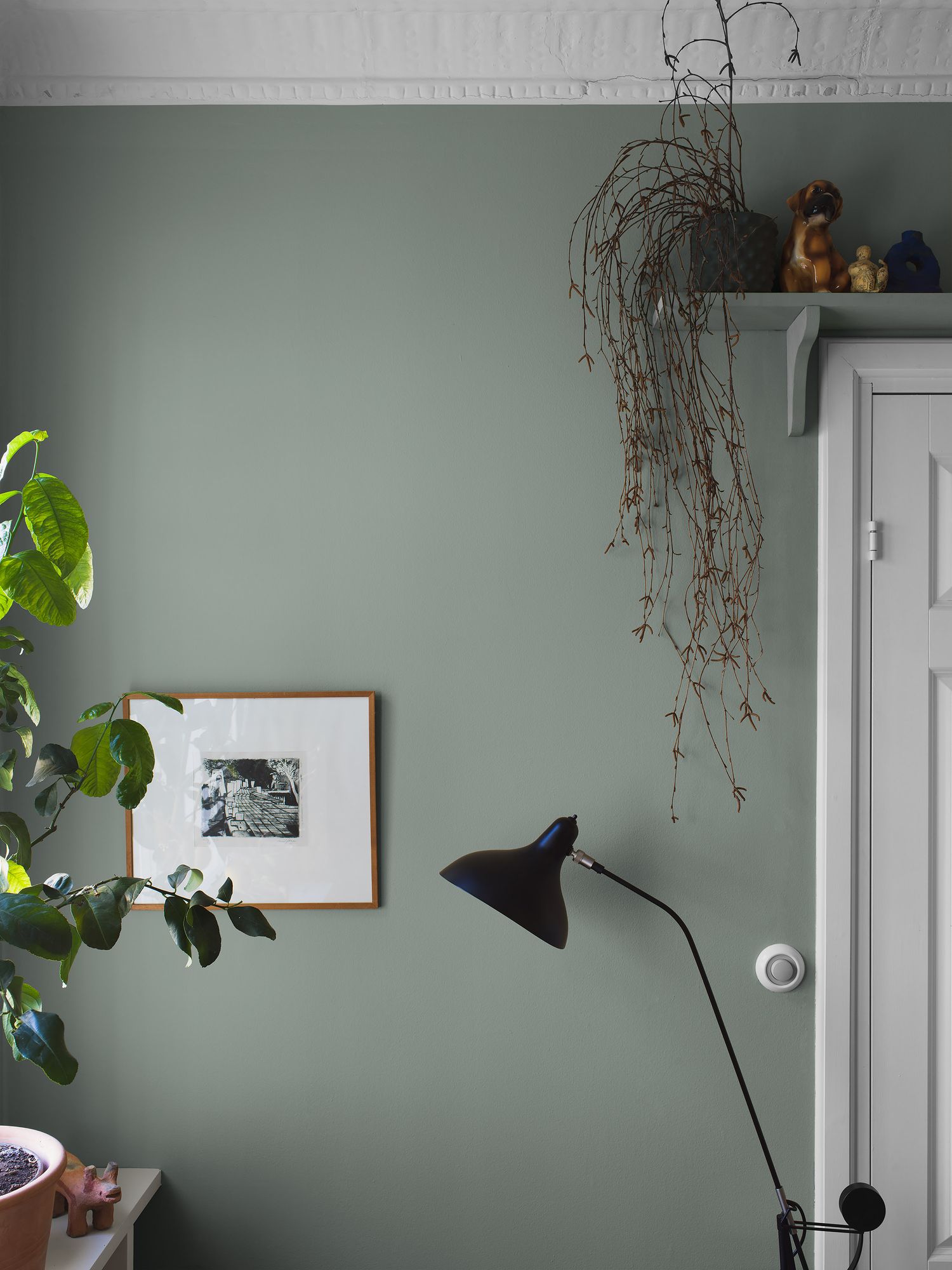7557 Copper Green Wallpaper by Boråstapeter