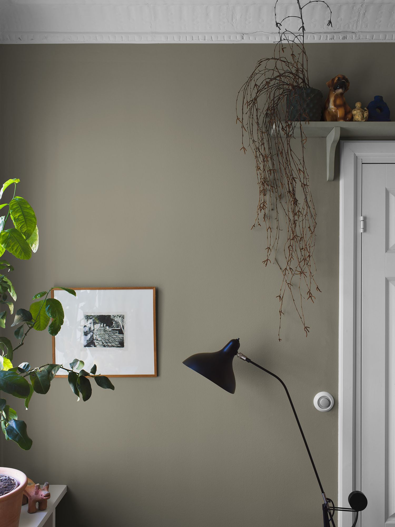 7558 Light Olive Wallpaper by Boråstapeter