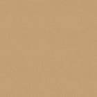 7580 Desert Sand Wallpaper by Boråstapeter
