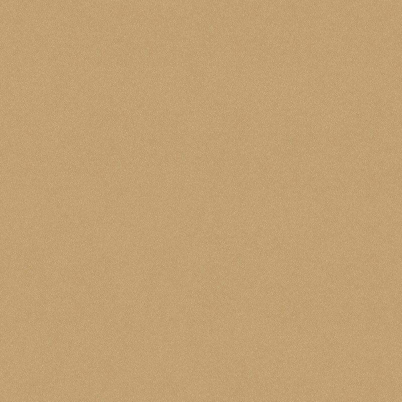 7580 Desert Sand Wallpaper by Boråstapeter