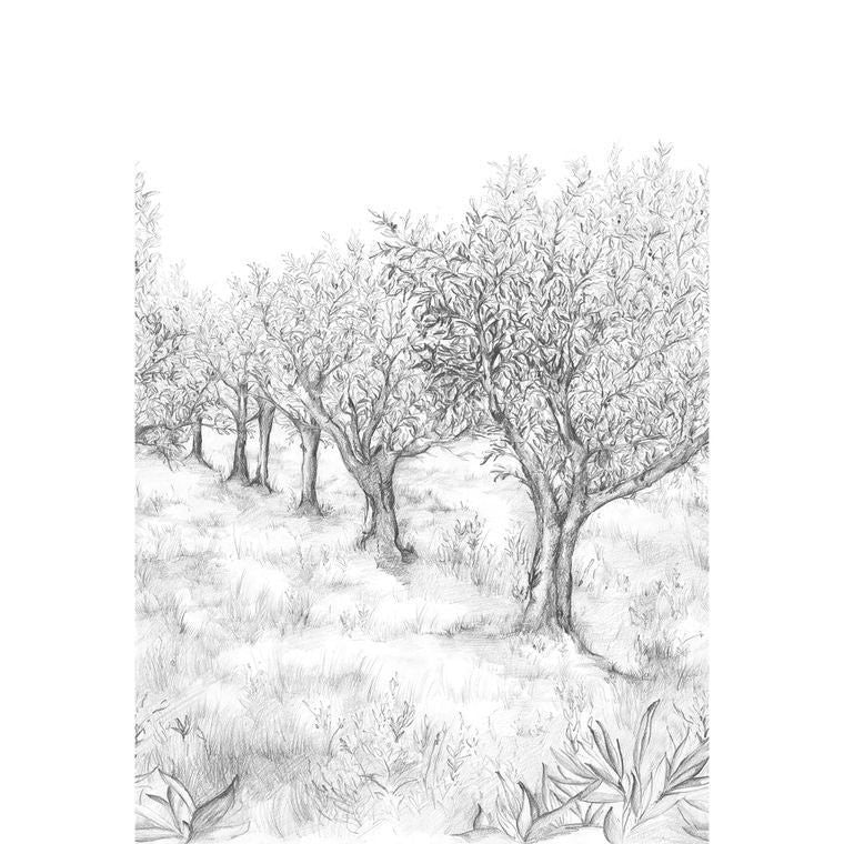 75851324 Lauris Int Panoramas 2 Wallpanel by Casamance