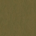 Kashmir Kaki/Doré Ecrin Wallpaper by Casamance