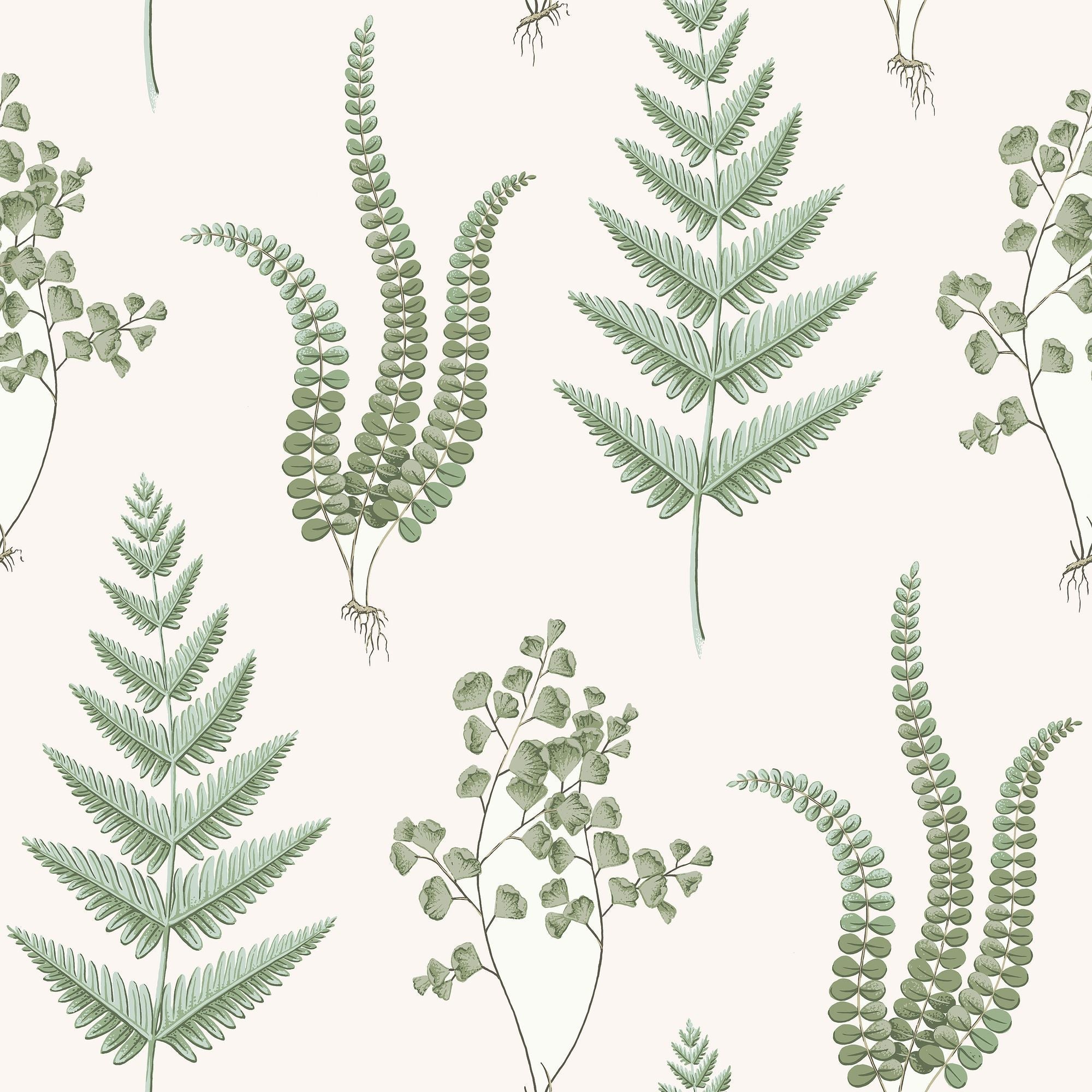 7657 Herba Falsterbo III Wallpaper by Boråstapeter