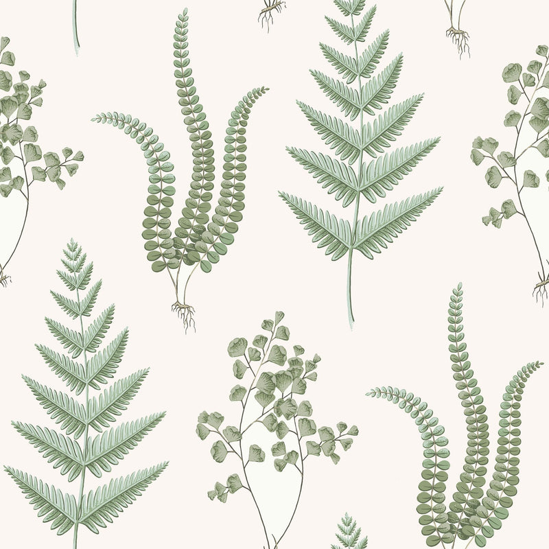 7657 Herba Falsterbo III Wallpaper by Boråstapeter