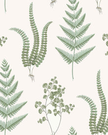 7657 Herba Falsterbo III Wallpaper by Boråstapeter