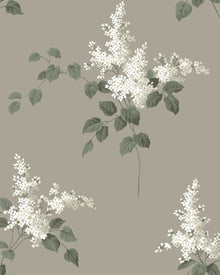 7667 Lilacs Light Brown and White Falsterbo III Wallpaper by Boråstapeter