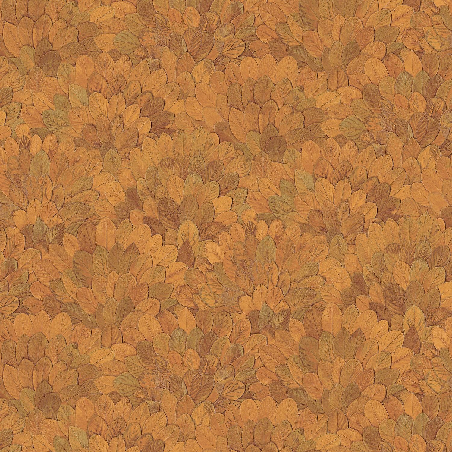 76841324 Feijoa Safran Modernismo Wallpaper by Casamance
