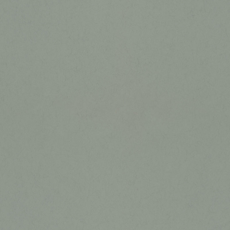 77002 Avokado Plain Hidden Treasures Avocado Wallpaper By Galerie