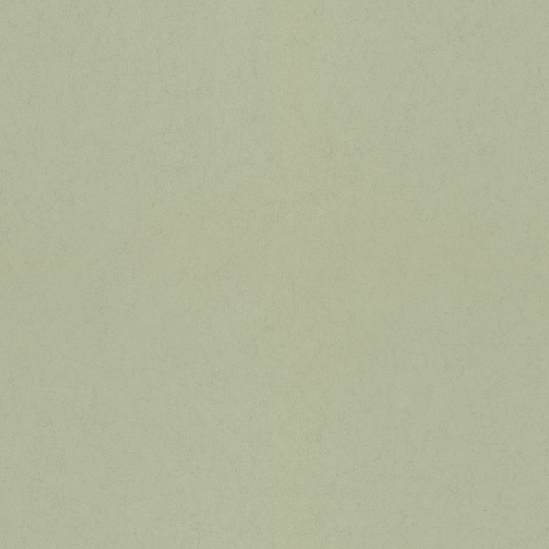 35T-77005 Pistachio 35 Tintas Wallpaper by Tres Tintas