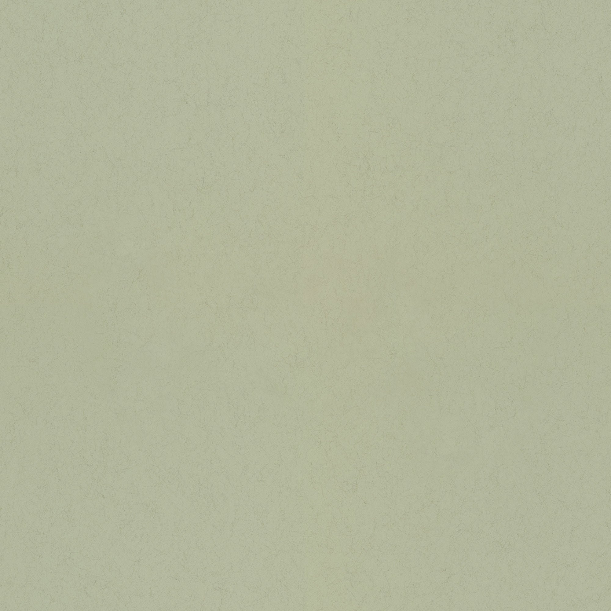 77005 Pistage Fagring Wallpaper By Galerie